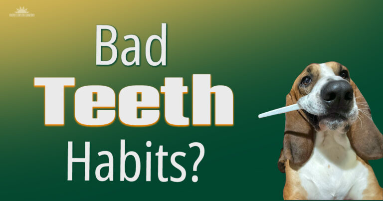 Bundy_Blog-November-24